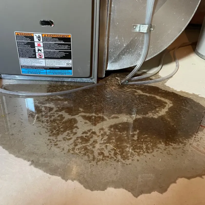 Appliance Leak Cleanup in Elizabeth, WV
