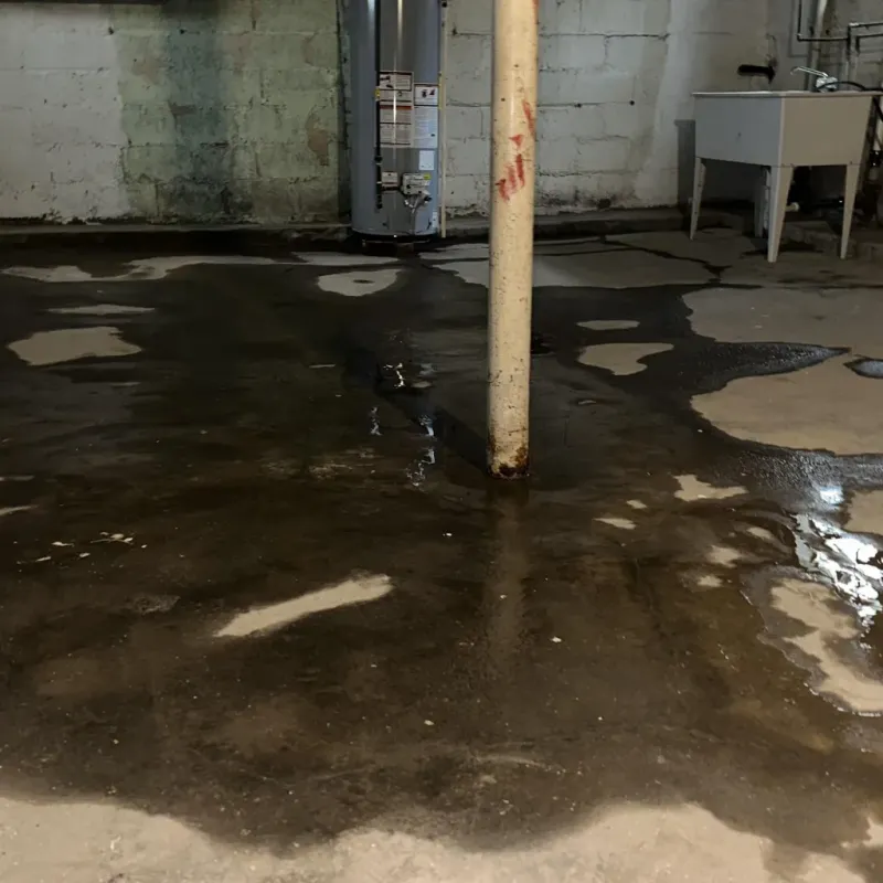 Emergency Water Extraction And Removal in Elizabeth, WV